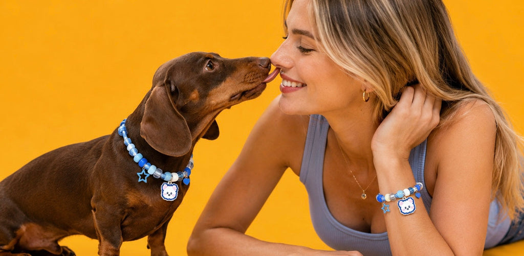 Mr. OreeO Mystery Charm Collar