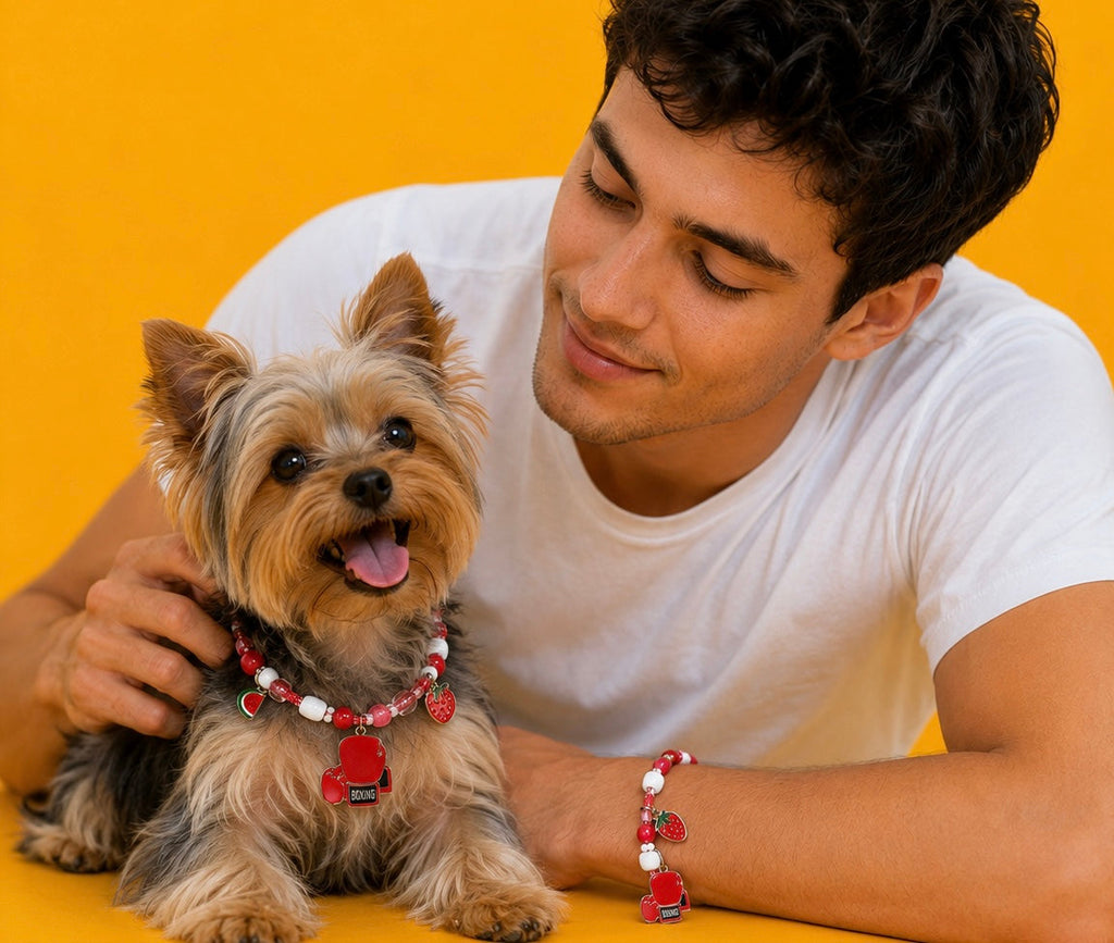 Mr. OreeO Mystery Charm Collar
